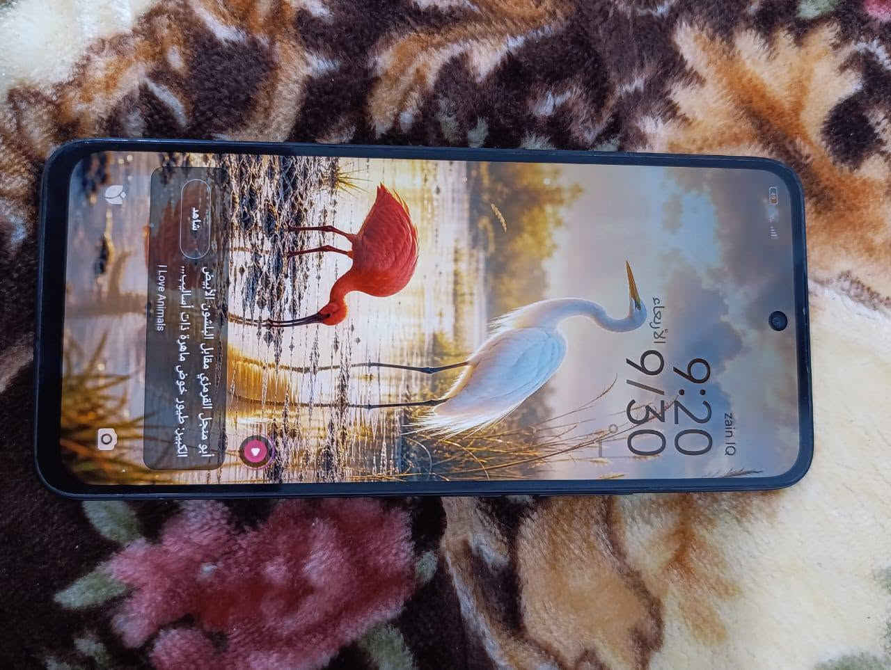 السلام عليكم جهاز للبيع Redmi13 ذاكرة 256 رام8+4 شرط نضيف وما مفتوح بلادي تواصل واتساب***********

نص مكتوب في الصور:
- ٩:٢٢ ٤٥٣ حول الهاتف اسم الجهاز Redmi 13 التخزين ٦٥,٣ ج.ب/٢٥٦ج.ب إصدار نظام التشغيل 2.0.203.0.VNTMIXM إصدار Android 15 AP3A.240905.015.A2 تحديث أمان نظام Android 2025-11-01 المواصفات والمعلومات التفصيلية النسخ الاحتياطي والاستعادة الدعم إعادة ضبط إعدادات المصنع الشهادة