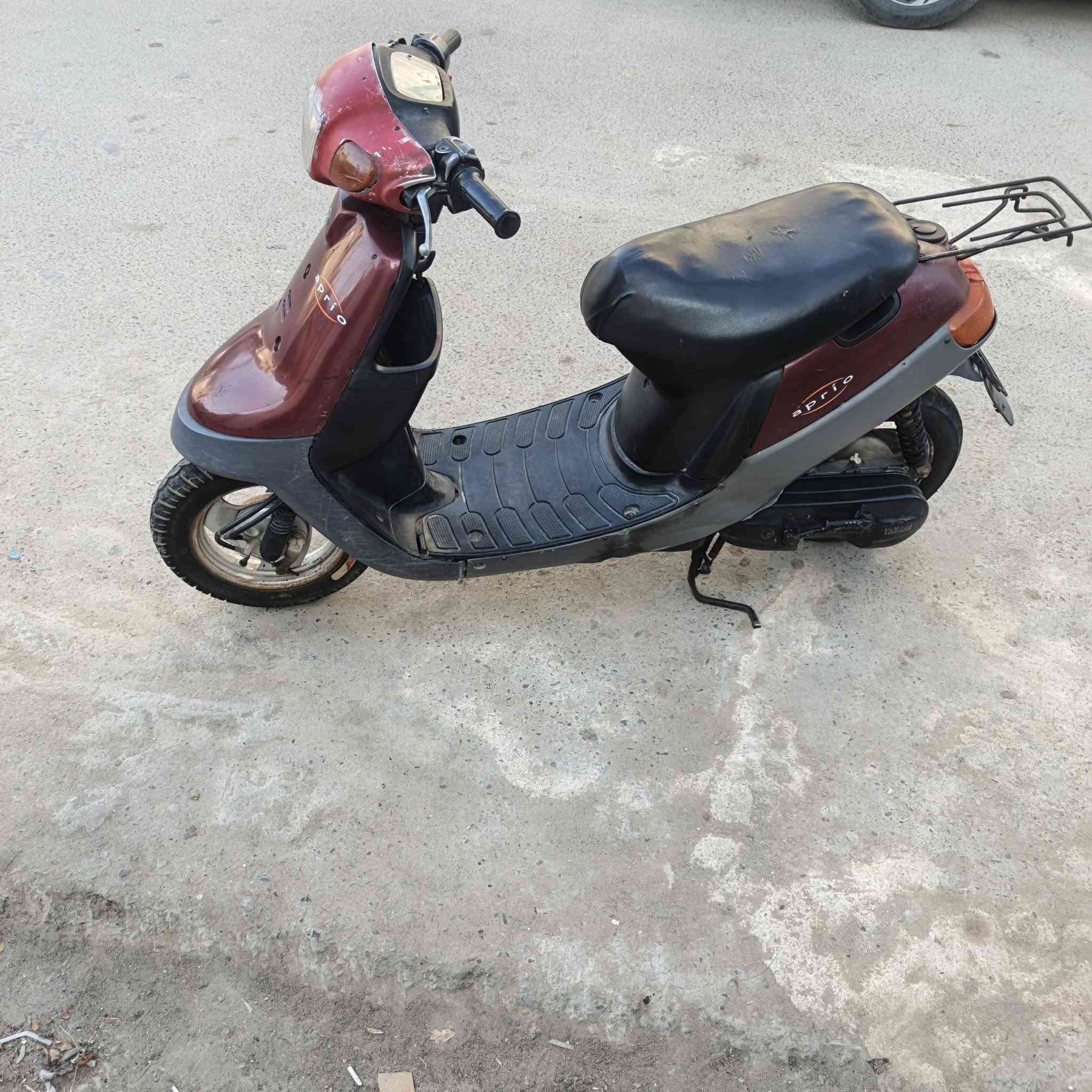 شغاله • سلف • هندل