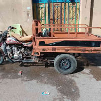 ستوته • اوراق • شغاله