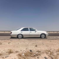 بصرة • فول فتحة • كشن جلد كهربا
