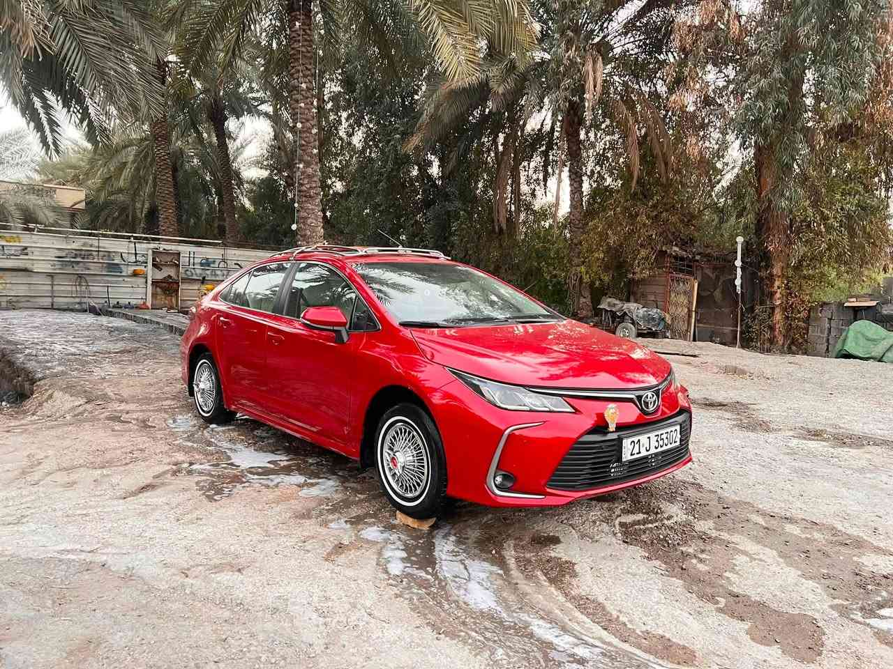 السلام عليكم
للبيع كبات موستنك حجم 14 نضيفات بس تك بي سيم اعوج فقط سعرهن 650 بيهن شي بسيط وسيباية كورلا ترهم من موديل 20 وفوك حيدر السحارة انتاج 2025 بيهه زنجار قليل سعرها 150 قفل للاتصال *********** مكاني بغداد
