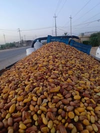 تمر • درجة أولى • توصيل