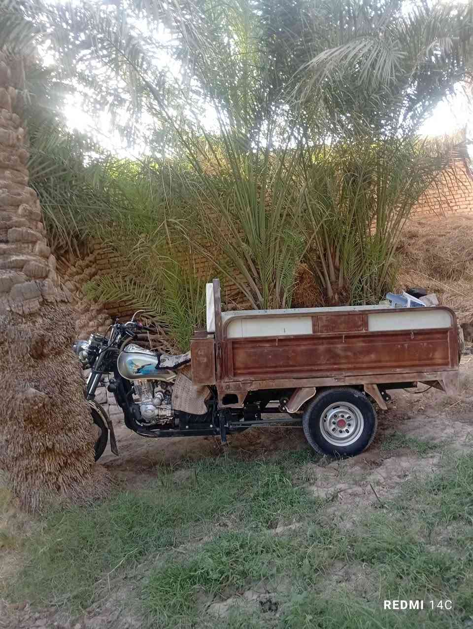 سلام عليكم ستوته للبيع كله جديد ما ناقصهه برغي واحد مكينه شرط ركبه وشاصي وبدي كفاله السعر 1950 وبيهه مجال مكاني الحمزه الشرقي ***********

نص مكتوب في الصور:
- REDMI 14C
