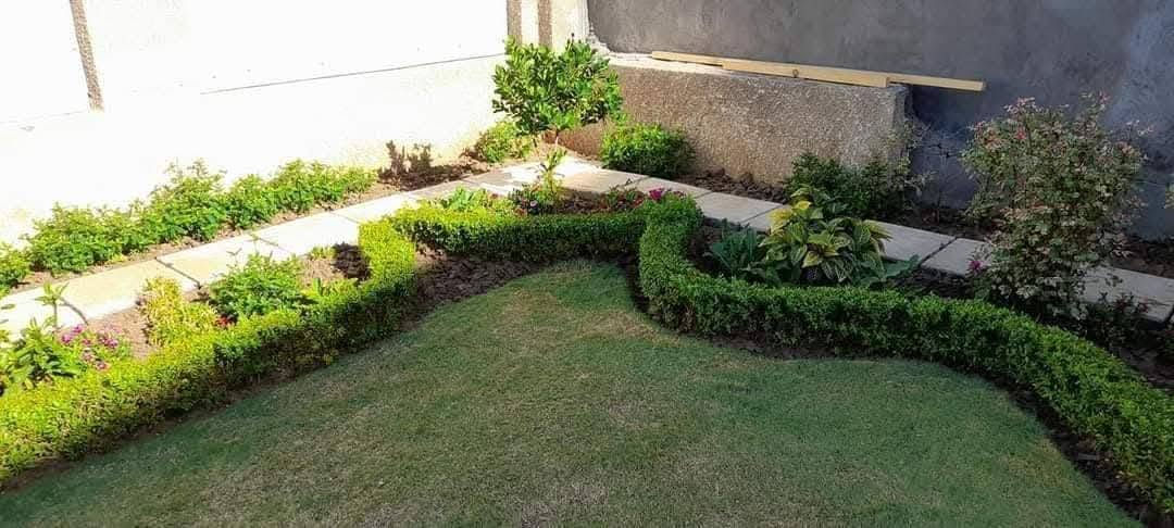 🍃مستـعدون🍂 عمل كافه ديكورات حديقه ، لـترتيب🐦 الحدائق المنزلية 🏝️🏘️
وزراعة النباتات، 🌾🌴🌱والازهار، 🌼🌺🌻وقص الثيل.
أعمالنا مستمرة دائماً ونسعى لإرضائكم ❤❤🌲🌲 
عالم الحدائق تصميم وترتيب الحدائق  .
مستعدون تقليم. وترتيب الاشجار. 
بطرق جديده وحديثه وتزويد الثيل بالأسمده المفيدة 
وعلاج لأشجار مريضه وبأاسعار مناسبه وتجهيز الشتلات
الاتصال او الاستفسار
***********
***********
