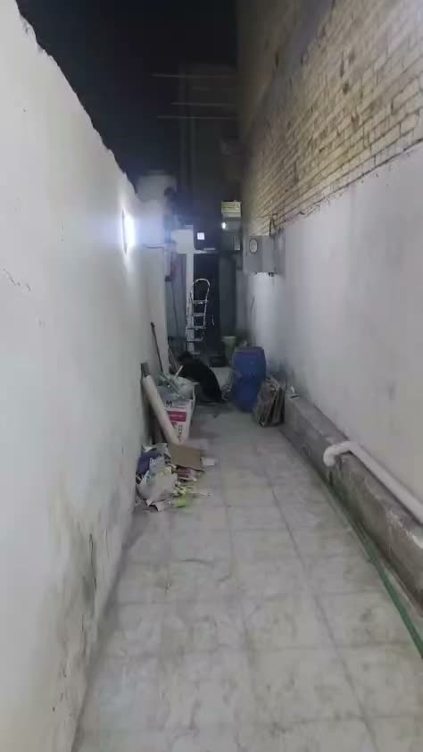 بيت ايجار 100 متر خلفية جديد 
تضحيه يم مدرسه قبضة الهدى 
ايجاره 350 
***********
