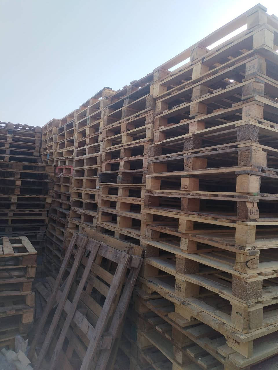 سلام عليكم
سكيب للبيع 120/100
سعره 4500 قابل للتفاوض 
سكيب كله نضيف 
اعداد مفتوحه 
للاستفسار ***********
