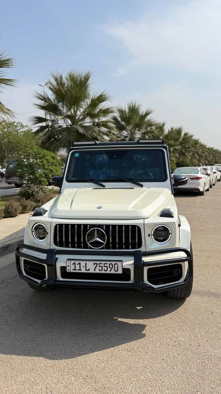 جي ٦٣ • ويل ٢٤ • رقم بغداد