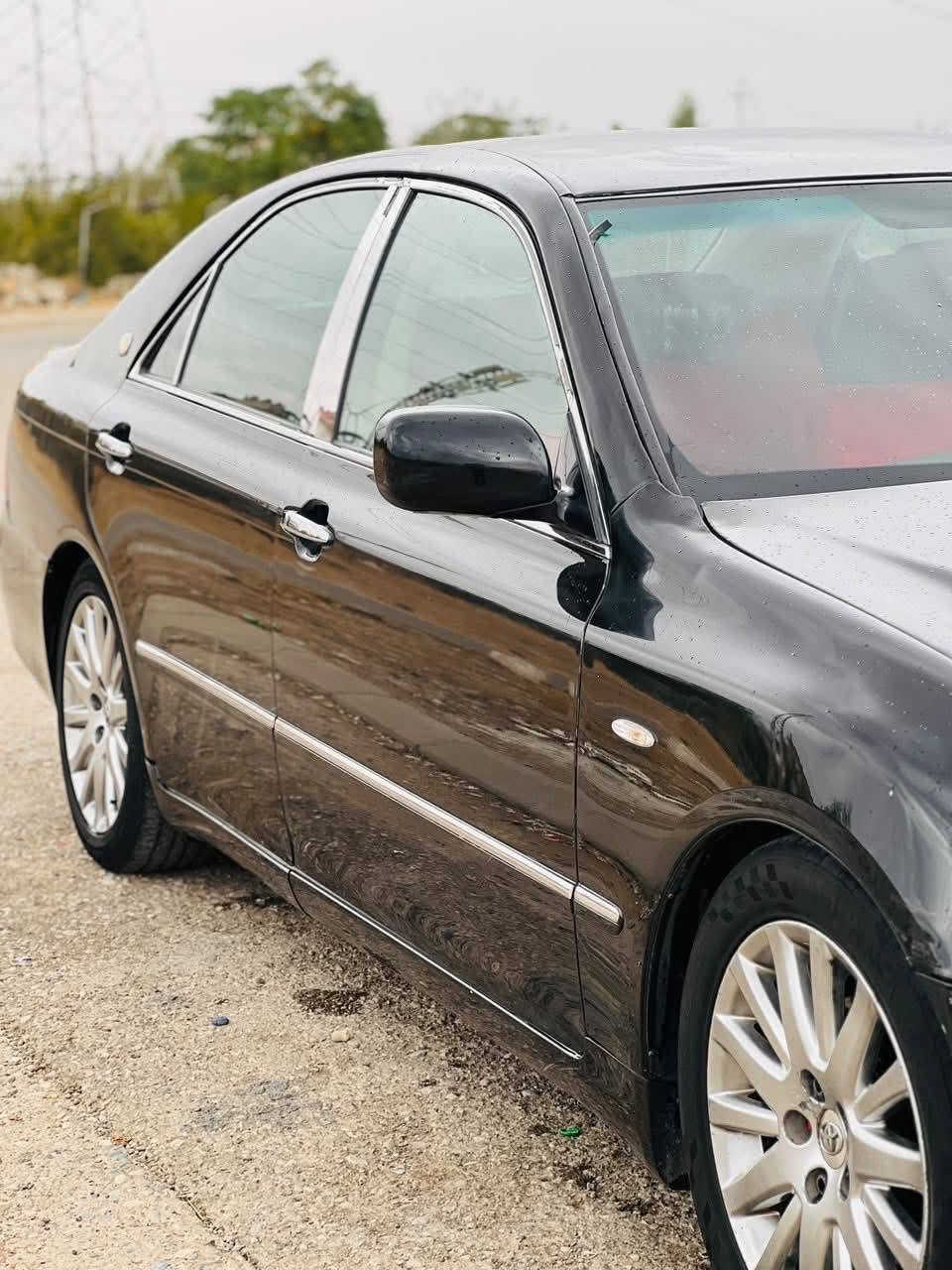 شاهين • ٢٠٠٧ • ماكو رقم