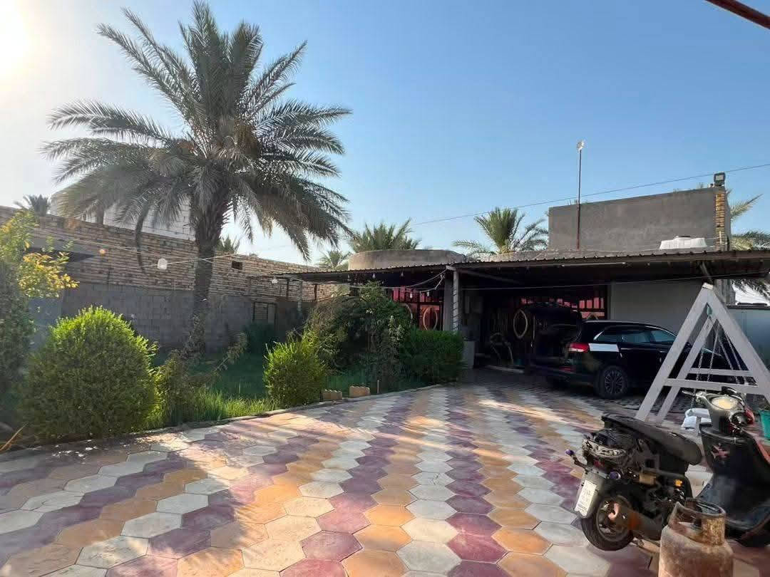 بيت للبيع المساحة ٨٠٠ متر يحتوي على غرفتين وحده٤×٦ والثانيه ٤×٥ صاله ١١×٤ والاستقبال ٩×٤ والمطبخ البارد٥×٦ و المطبخ الحار ٢×٤ وصحيات داخل البيت وخارج البيت والحديقه امامية وخلفيه + مخزن خارجي بناء طابوق +رباط ارضي وسقفي جاهز من الكهرباء والمي الأسأله طابو زراعي سند ٢٥ تحويل مباشر
ع طريق سومر والدغارة  ويبعد ع الشارع العام ١٠ مترات الاستفسار ***********
بيت للبيع المساحة ٨٠٠ متر يحتوي على غرفتين وحده٤×٦ والثانيه ٤×٥ صاله ١١×٤ والاستقبال ٩×٤ والمطبخ البارد٥×٦ و المطبخ الحار ٢×٤ وصحيات داخل البيت وخارج البيت والحديقه امامية وخلفيه + مخزن خارجي بناء طابوق +رباط ارضي وسقفي جاهز من الكهرباء والمي الأسأله طابو زراعي سند ٢٥ تحويل مباشر
