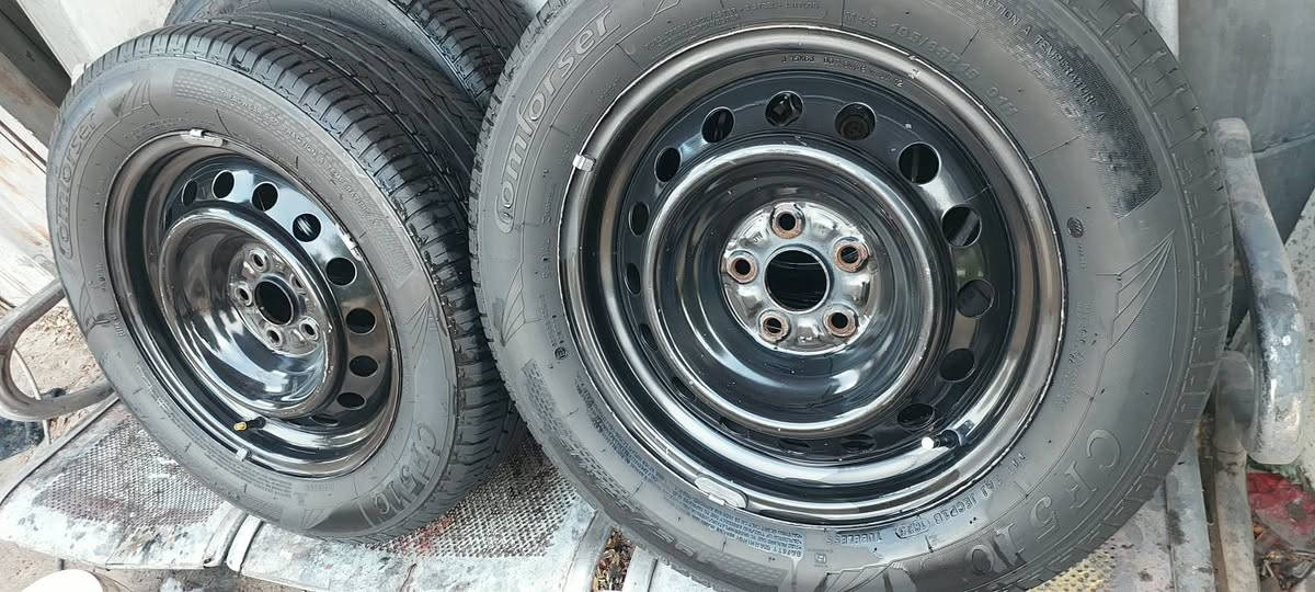 بغداد • تخم ويل اصلي • ١٥/٦٥/١٩٥