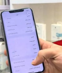 ١١ برو ماكس • ٢٥٦ • بطارية ١٠٠