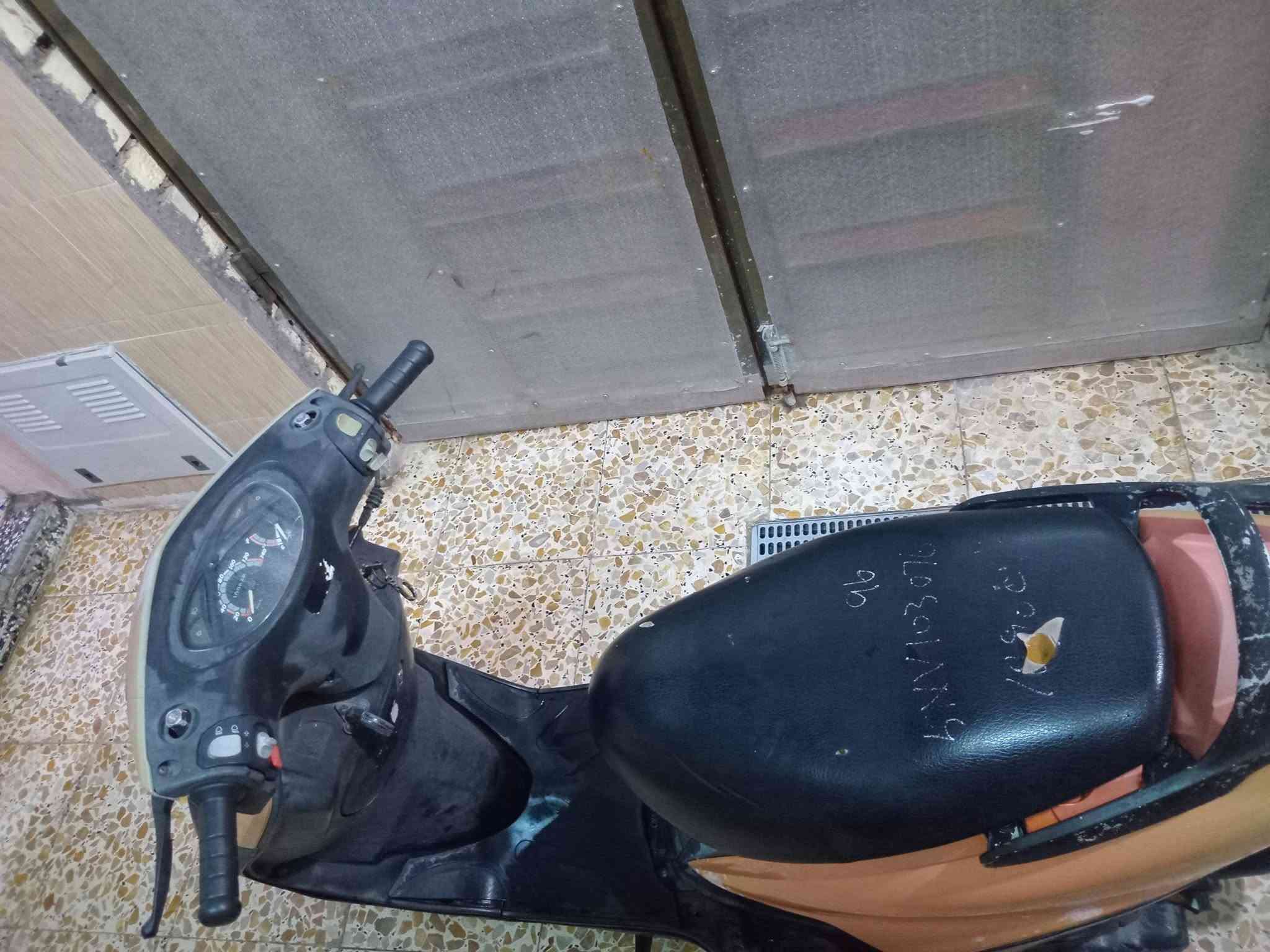 ماكس • فحل • كفاله