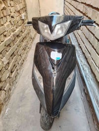 ثعلب • نضيفة • 150