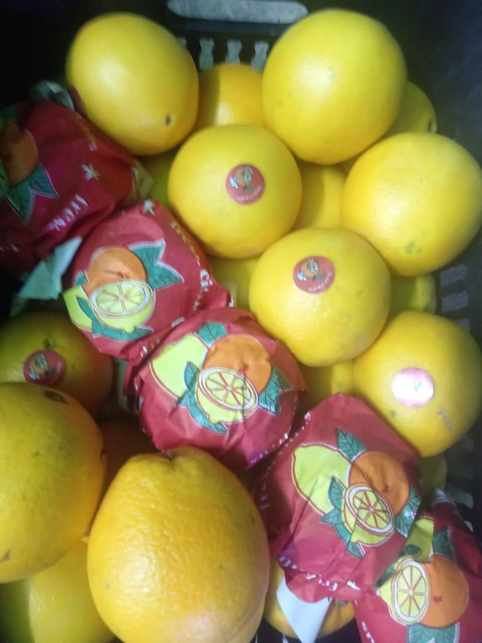 خضروات وفواكه • طازجة • شارع 20