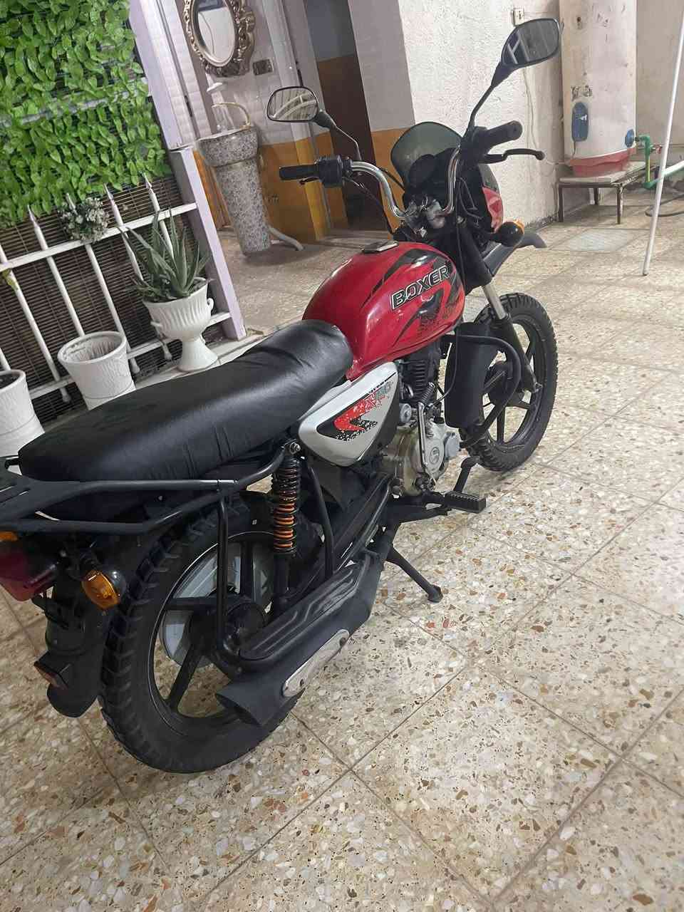 بوكسر موديل ٢٢ بدون أوراق اتكفلها سرقه حلال حرام بوكسر نضيف الله وكتبه ورسله كلها شغاله وجديده الدراجه نضيفه لمعنه الكلمه مكينه خرسه تجيفت شركه جديد لايت زنون أبو ال٧٥ 
الشعب نهايت الفورتات
الاستفسار ***********
السعر ٩٥٠ بيها مجال
