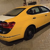 كاتنزا • ٢٠١١ • مكفولة من الضربة