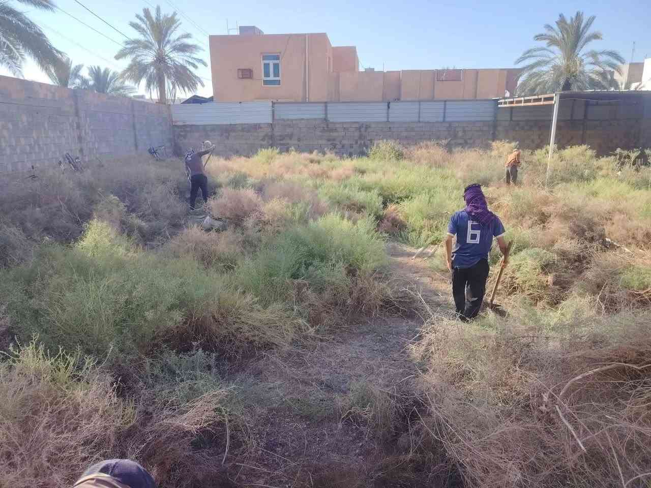 ***********📞سلام عليكم  /  يوجد كادر عمل جاهز /  تصعيد مواد /  تنضيف بيوت /  تفليش /  تكشيط /  دفن نهري /  شقلنه ليل ونهار /  ومعداتنه جاهزه  ومالك دخل بكلشي تأخذ شقل جاهز مني سلمني شقل وتأخذ شقل جاهز / ماعليك بس تصال على رقم ///  وسياره تجيك للبيت // وموجود واتساب
