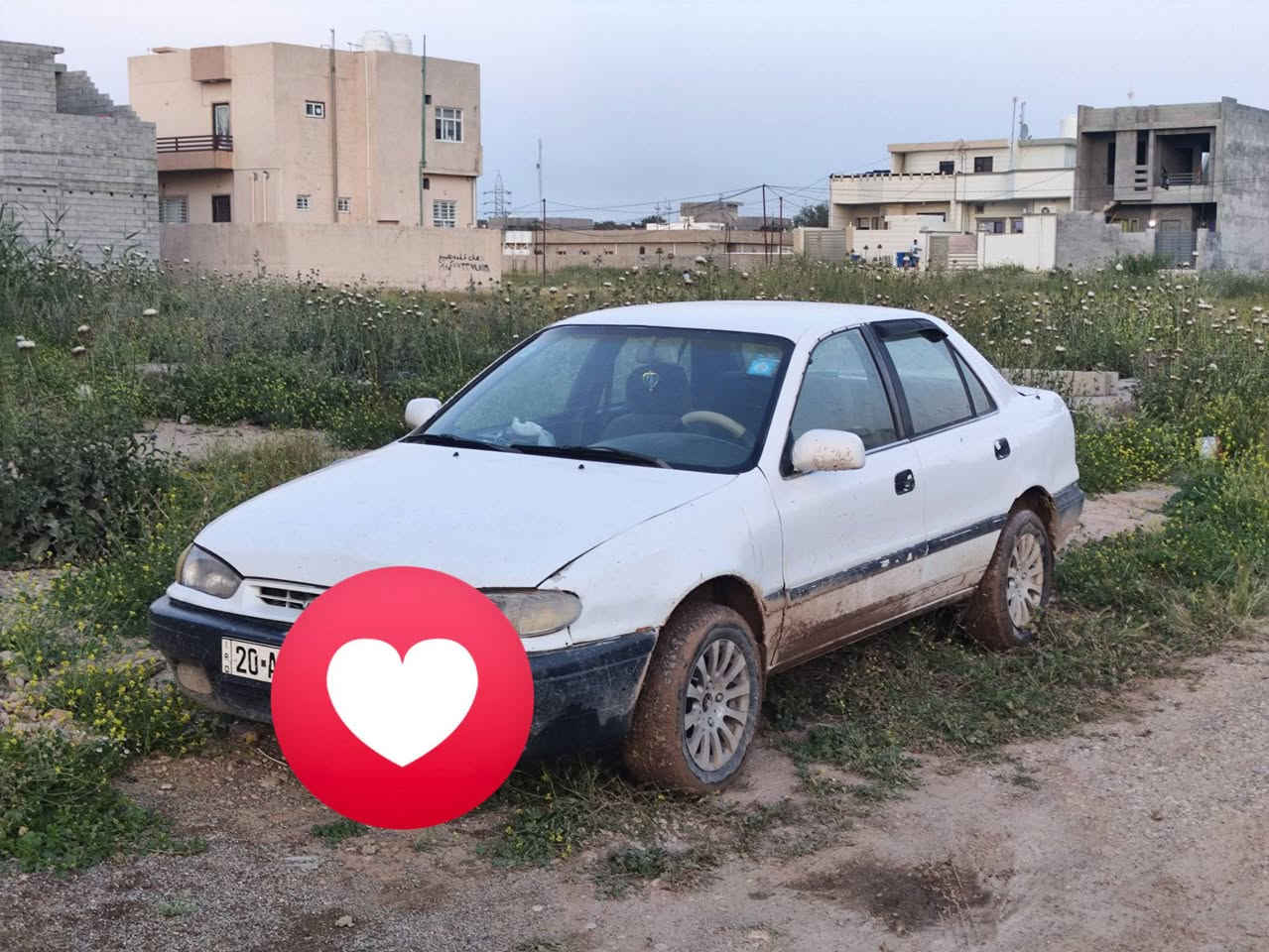 هونداي النترا 94  دمعة بلاد
گير اوتو ... كير اوتو 

محرك 1600 بي بخار 

رقم دولي سنوية جديدة  هزة جديدة 

تحويل مباشر  ما يحتاجون  السيارة بالمرور  

بس عقد مروري وبصمة 

فراممات بلادية 

مكفولة من الخياس 

صدر خلفي امامي جديد 

كهربائيات بلادية كلها شغاله 

اشاير ..  لايت عالي ناصي .. بلاجكتورات  .. 

ريمونت سنتر لك شغال

راديتر جديدة 

تدفئة تبريد  بيهن نواقص بسيطات ... 

دشبول نظافة 100 ب 100 

السعر 25 ورقة 

***********
