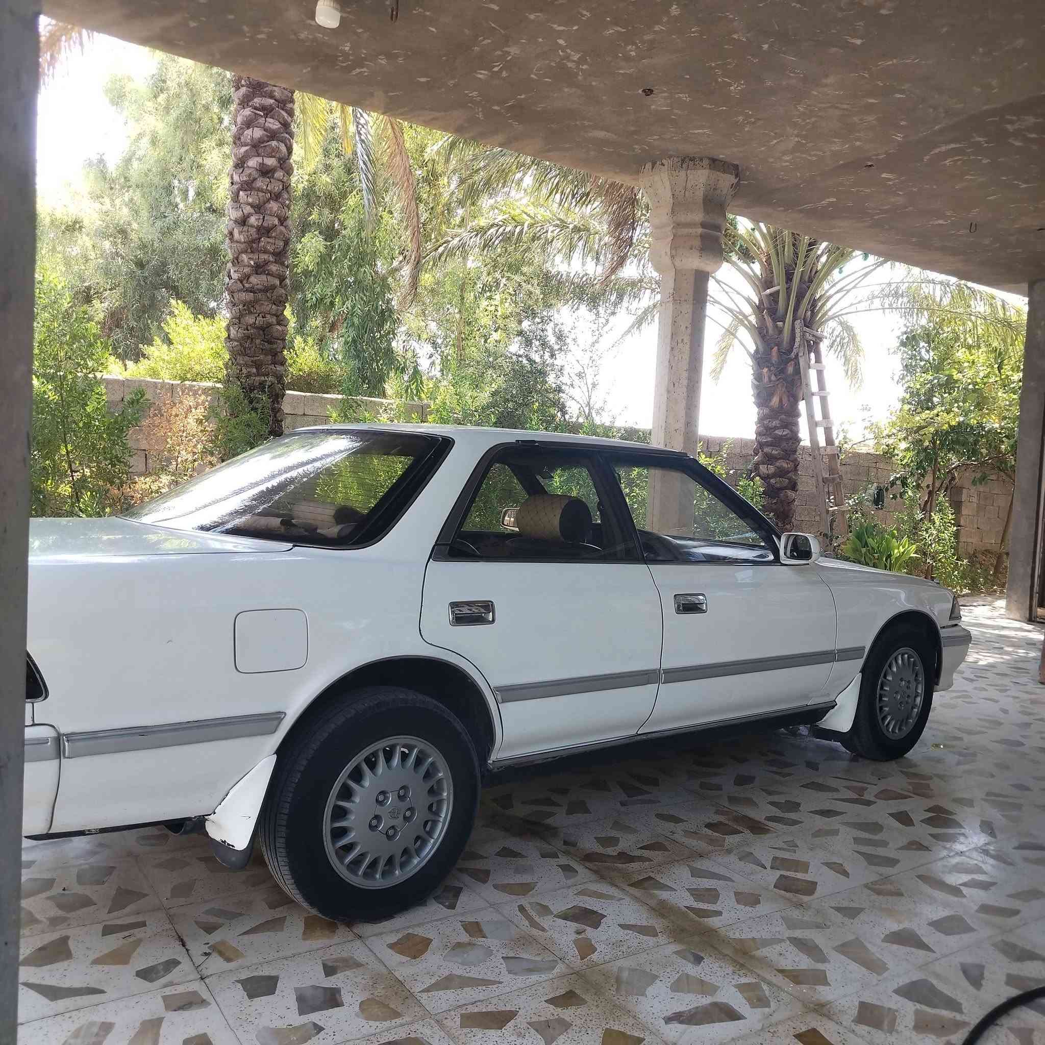 السلام عليكم ورحمة الله وبركاته
للبيع مارك شطح موديل 1991
 رقم ديالى انكليزي
 محرك بلادي بطة 2500.
 السنوية مجددة لل2029 السيارة بلادية مكفولة من الكص والحادث والصبغ وكافة الاصوليات والعيب الشرعي  . تحويرها درجة اولى كير جيد جدا محرك جيد  تبريد شغال صدر جديد بالكامل تخم تاير كهربائيات شغالة بالكامل . كاملة بدون نقص واللي يجي يشوف بعينة ويقتنع وحياه الله.  العنوان بعقوبة مقابل مصرف الرافدين / البحيرة.  السعر 60 ورقة وبيها مجال .  رقم الهاتف ***********
