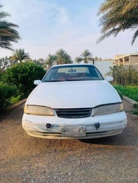 برنس فراشة • ١٩٩٦ • رقم ديالى