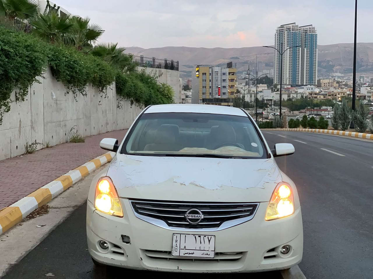 التيما • ٢٠١٠ • سليمانية