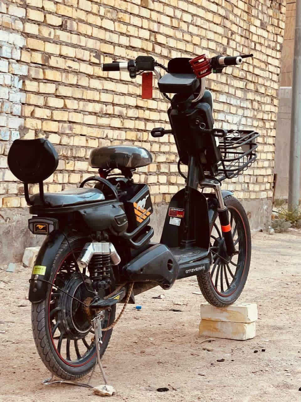 النجف الحيدريه • حجم 20 • مديل 2023