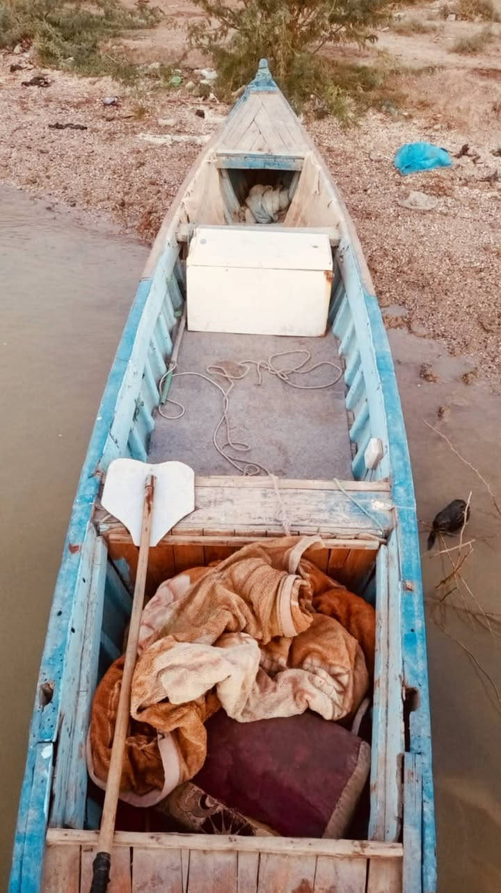 جينكوه فيبر • ١٤ ذراع • أبي الخصيب