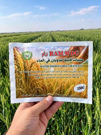 مبيد رام • ادغال الحنطة • كركوك الحويجة