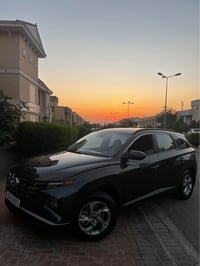 توكسن أمريكي • ٢٠٢٢ • أربيل