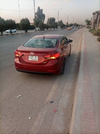 النترا ٢٠١٥ • وارد امريكي • ماروني لامع