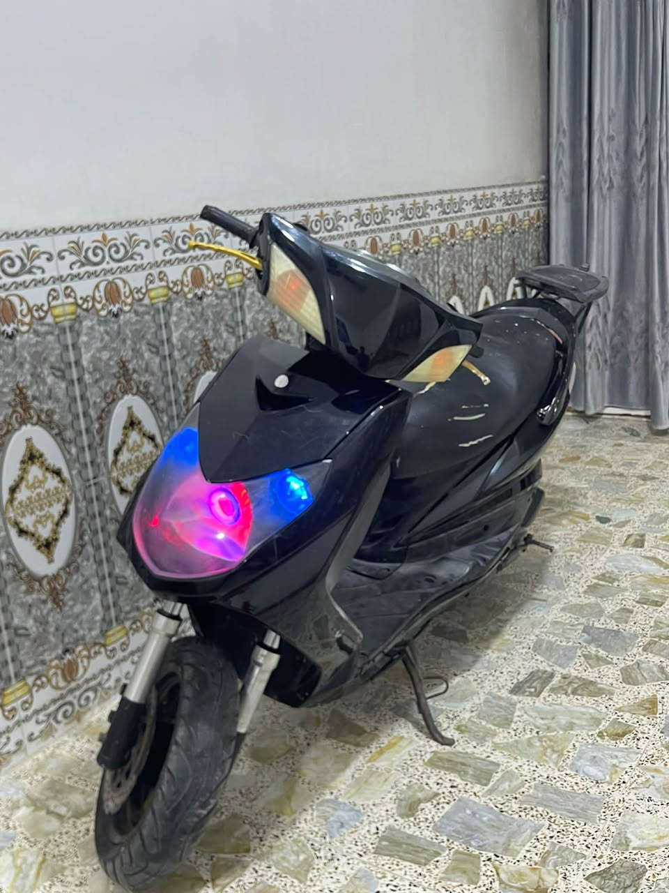 سكنس فحل • نكره سلف • مكفوله