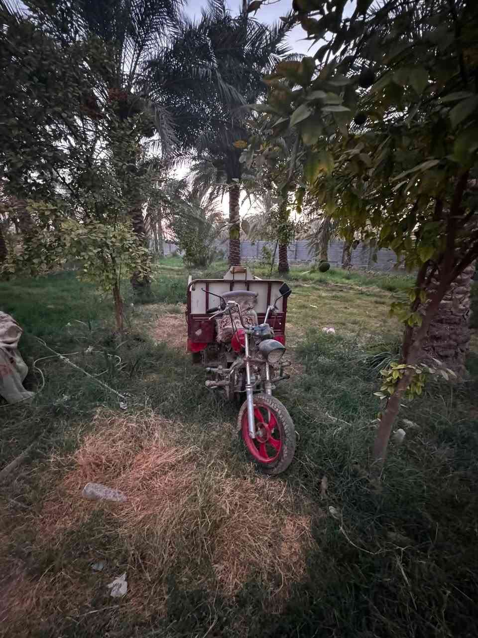 السلام عليكم ستوته البيع ستوته نضيفه بس متروكه شغله كلشي مابيه  (الستوته سنويه موجوده مالته)السعر 800الاتصال /***********
