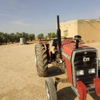 فوركسن نكليزي • مقاس ٢٧٥