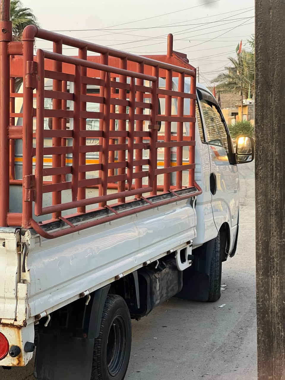 موديل ١٦ • مكفولة • واسط