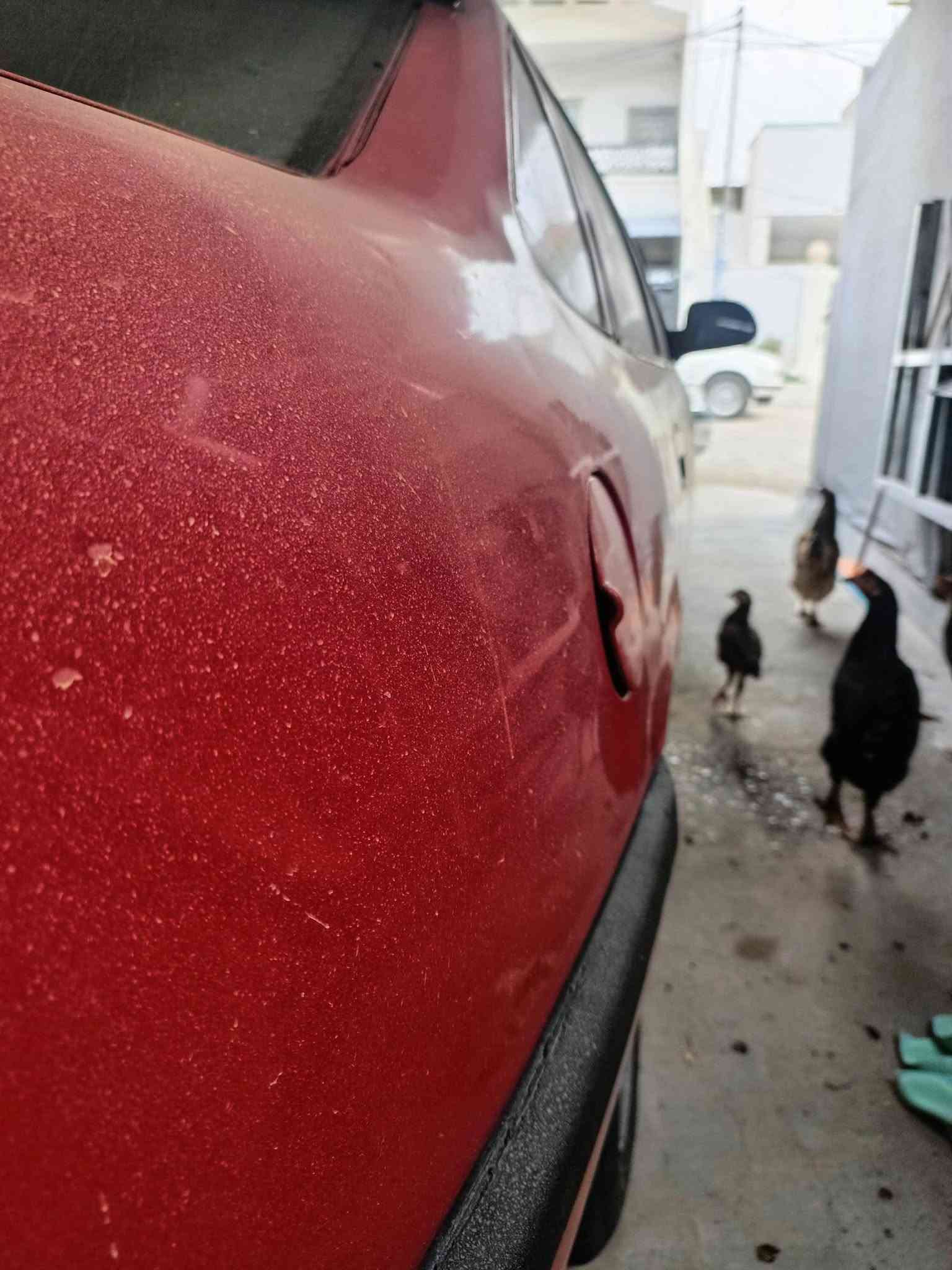 فيكترا • ١٩٩٠ • أربيل