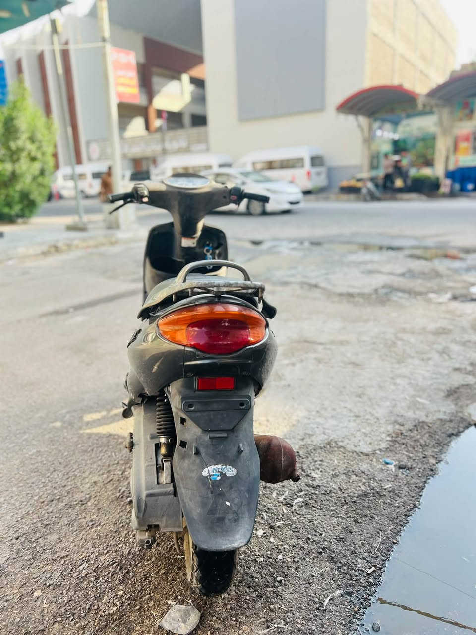 دولفين • نضيفه • صوته ناعم
