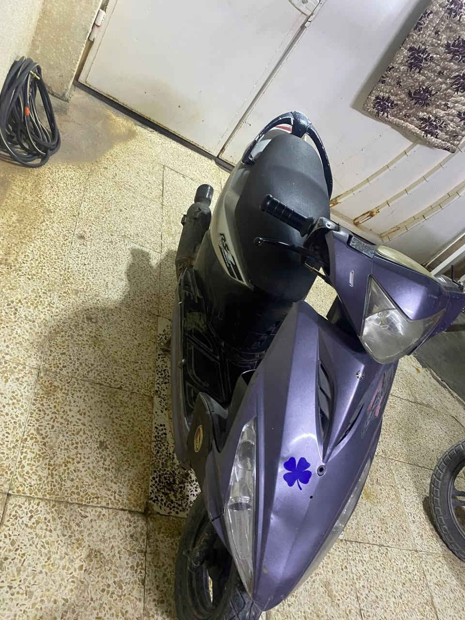 ماكس • واتساب • للبيع