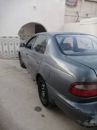 كرونه 92 • رقم بغداد • ام عباسيات