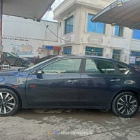 التيما SL • ٢٠١٨ • جلد