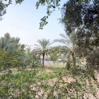 دار وارض زراعية • دونم و٤٠٠ • كربلاء السوادة