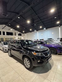 بدون صبغ • ٢٠١٢ • ٧ راكب