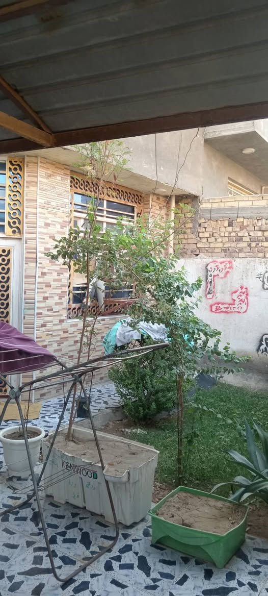 سلام عليكم.. بيت مساحه 200متر شارع 80 الاوفه الحاده مقابيل القبه الذهبيه شارع البانزين خانه محتويات البيت 2غرف.. ستقبال.. هول.. ومطبخ.. كراج سياره.. زراعي سند 25.. سعر90.. وبي مجال ويرهم.. مروس..  الستفسار على هذا لارقم ***********
