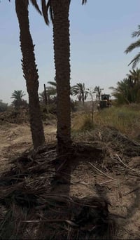 بستان زراعي • ٥ دونم • الشواليش الشط