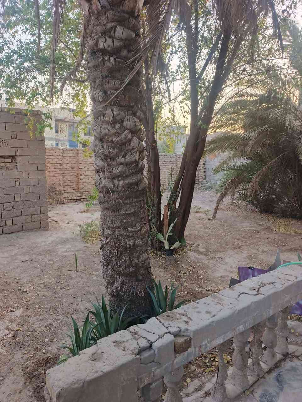 #أذا_تبحث_عن_بيت_بمساحة_كبيرة_وموقع_ممتاز_فهذا العرض يستحق اهتمامك
للبيع دار سكنية مميزة – #طابو صرف
#الموقع: #حي_البلدية – بالقرب من مستشفى الحشد.
#المساحة: 465 متر مربع – #ركــــــــــن
🔹 مواصفات الدار: • غرفتا نوم. • صالة. • استقبال واسع. • مطبخ. • صحيات داخلية وخارجية. • سنة البناء: 2000.
 يحتوي الدار حديقة كبيرة جداً مناسبة للتوسعة أو بناء مشتمل  استثمار المساحة مستقبلاً
#بعض_الصور_موضحه_بالمنشور ادناه 🔻🔻
✅ موقع مخدوم والخدمات متكامله 
📞#الاتصال_للاستفسار... 
       ***********          #واتساب 
      ***********

