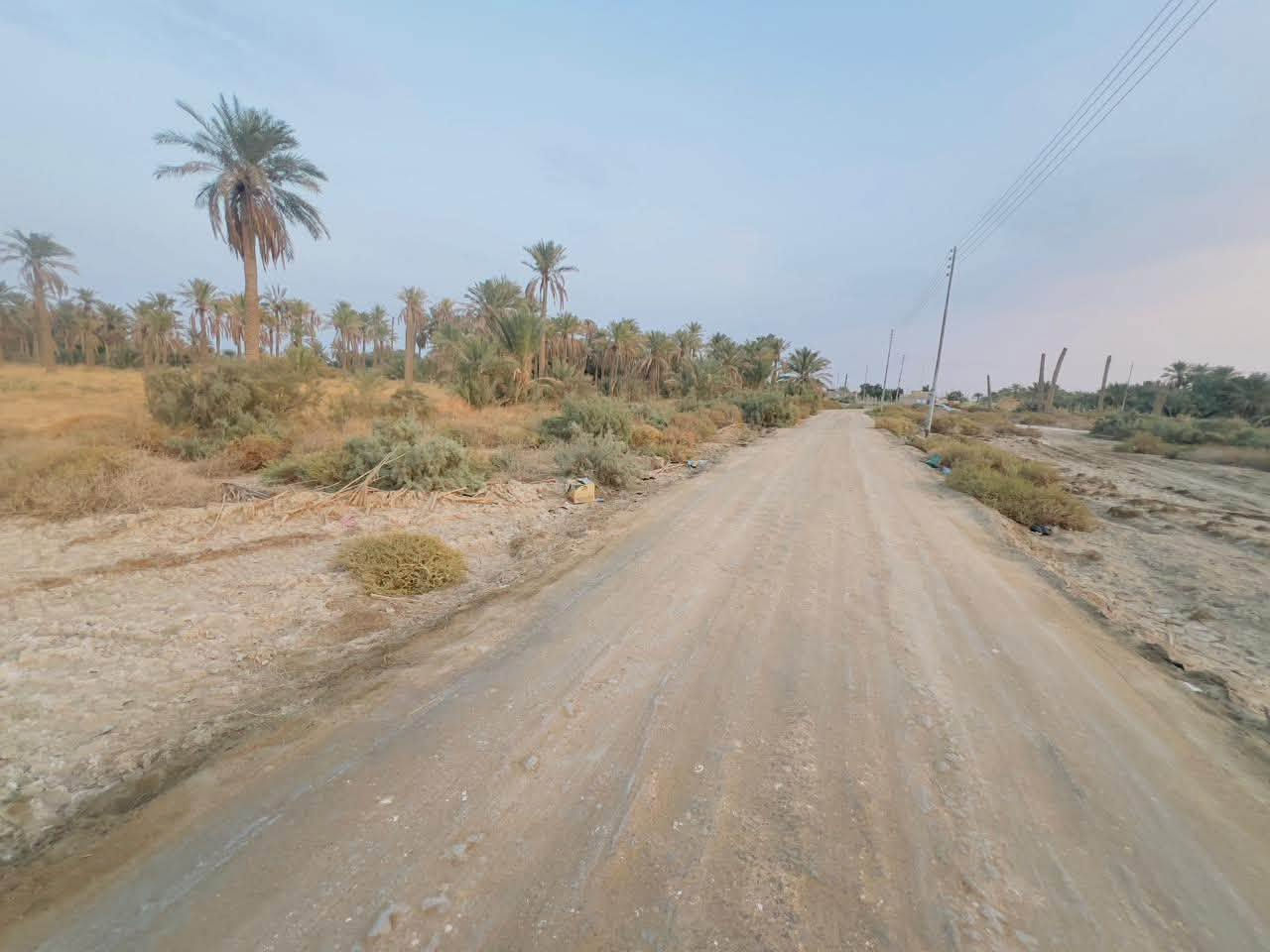 بستان • عقود زراعيه • سديناويه