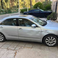 فول بصمة • ٢٠٠٨ • بدون صبغ