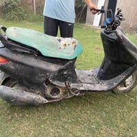 فراشة • لاطش • المسيب