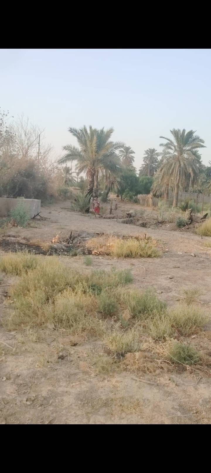 يا الله سلام عليكم يتوفر عندي دونم طابو ملك صرف عنوان لزعفرانيه عله فرع لنهر دجله خدمات كامله يصلح سكن يصلح مزرعه
