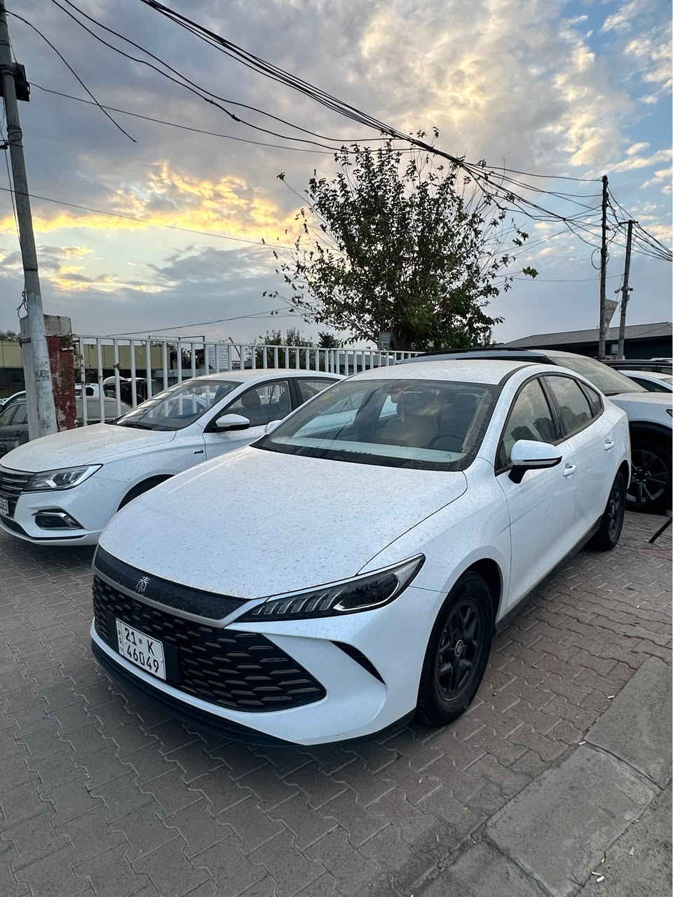 Q بلس ٢٠٢٥ • ١٢٠٠٠ كم • بدون دهان