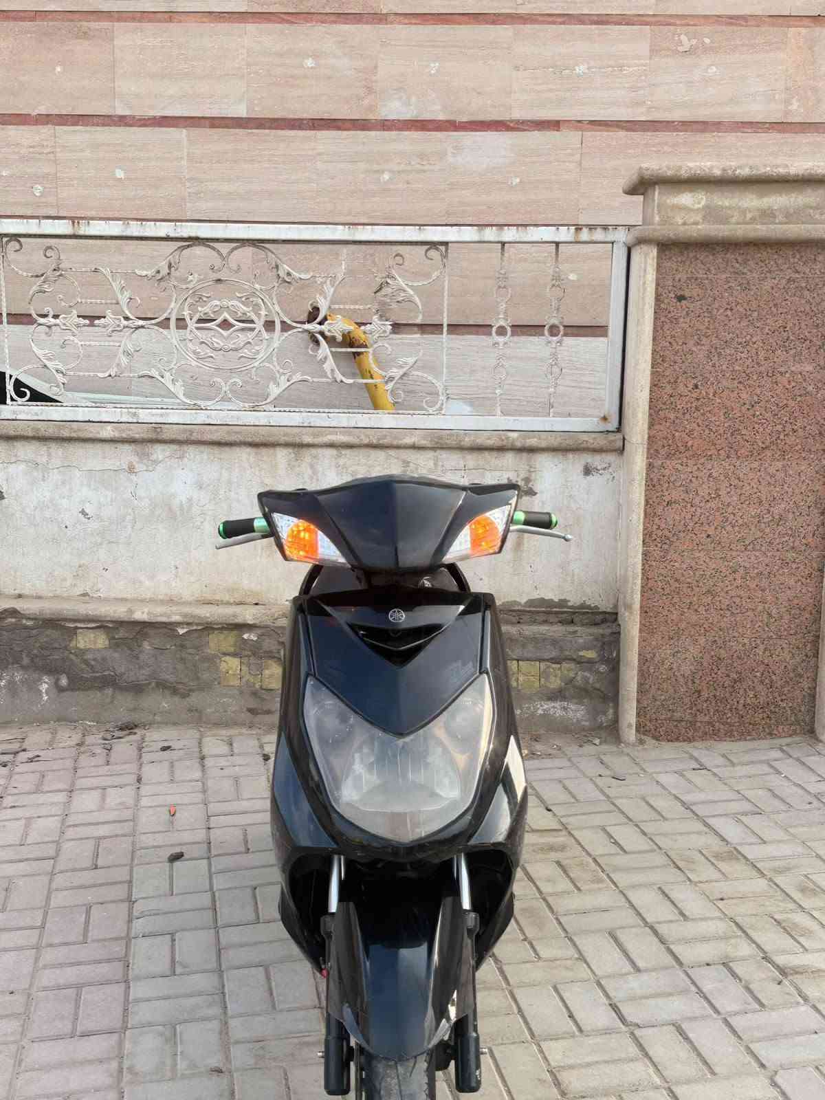 سكنس فحل • جديده • كفاله